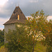 Burg Halitsch hinter der Eberesche