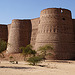 Derawar Fort (2)