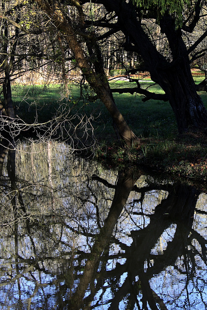 Parc du chateau de Chantilly