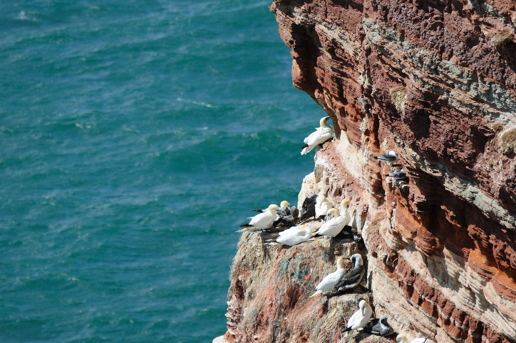 Helgoland - 120807