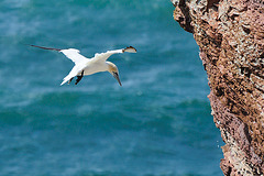 Helgoland - 120807