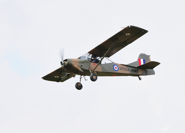 Auster AOP.11