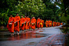 Monks Luang Prabang