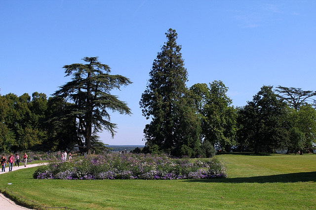 Chaumont en Aout (2)