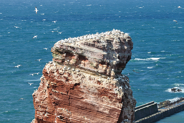 Helgoland - 120807