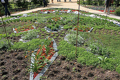 Le Jardin bijou de Loulou de la Falaise - Mai 2011