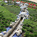 Le Jardin bijou de Loulou de la Falaise- mai 2011