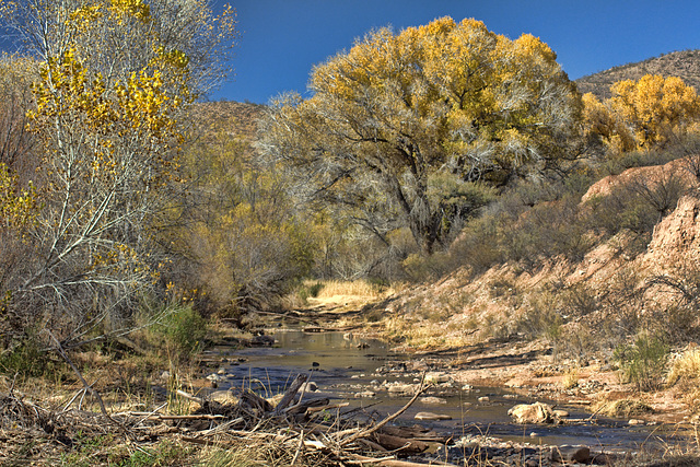 The San Pedro River