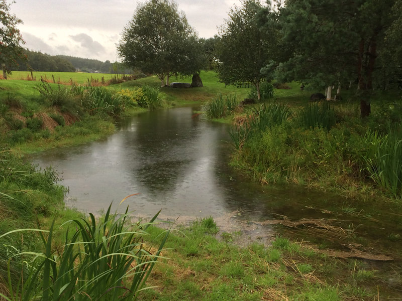 Thank you, Miss McBertha, for refilling our pond!