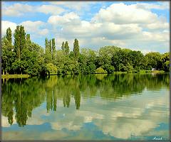 SUMMER GREEN*** SUMMER GREEN***