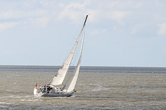 Sail - 120808