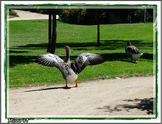 COËX Vendée