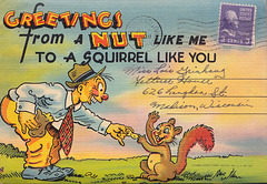 PF_to_a_squirrel