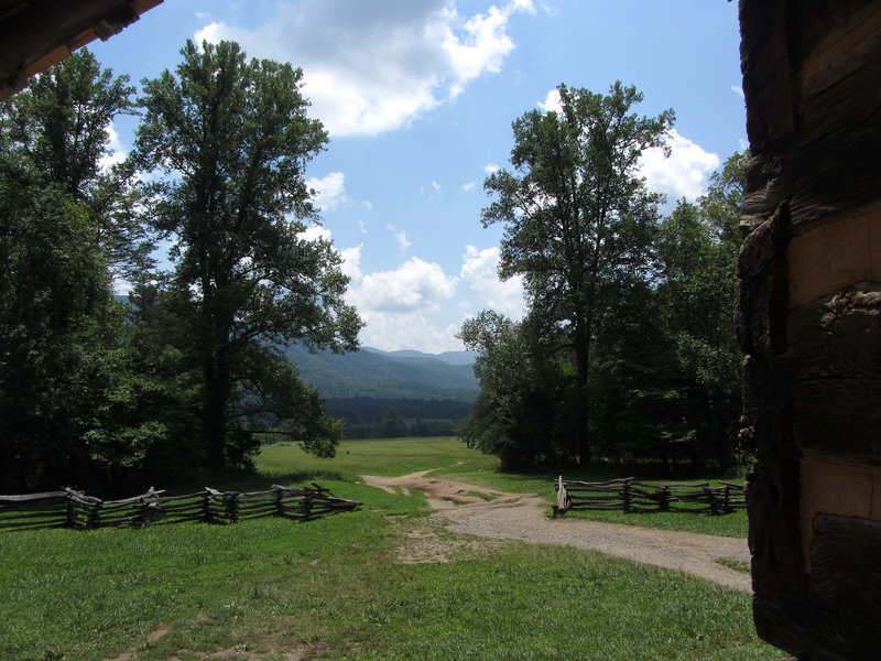 Cabin mit Ausblick