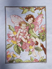 Apple Blossom Fairies