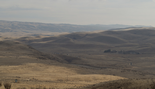 Kern - Elkhorn Grade  Rd. (0901)