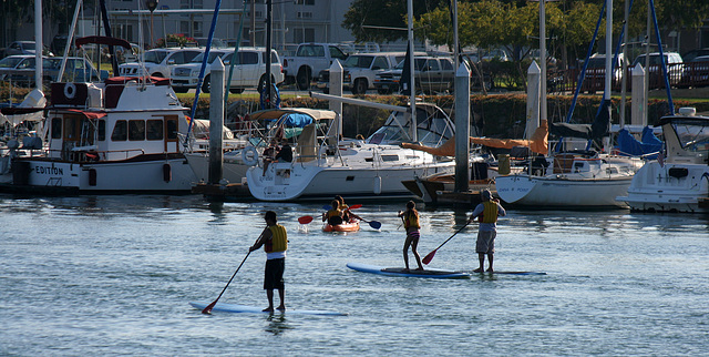 San Diego Harbor (6408)