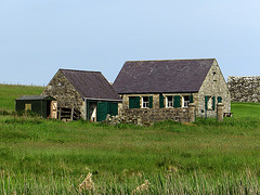 Devenish Island