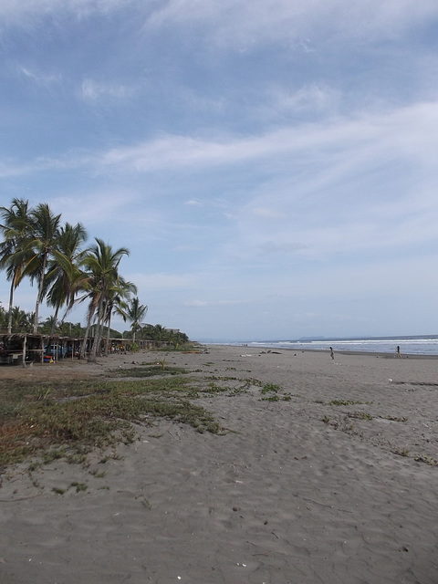 Plage du pacifique / Pacific beach