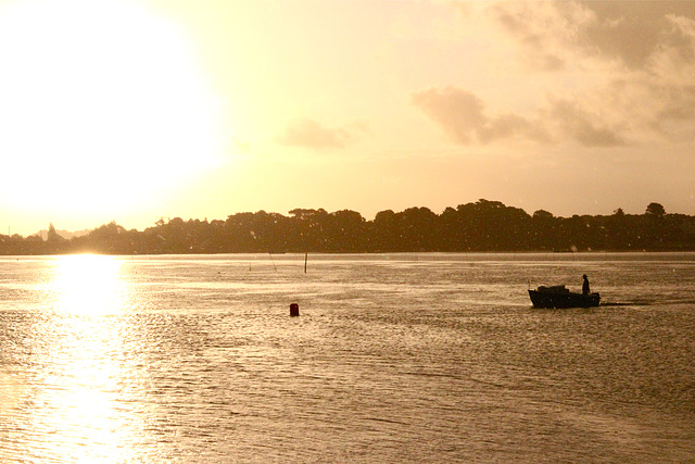 Le pêcheur du petit jour