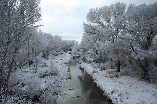 The San Pedro River