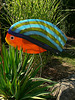 Fisch an Land