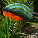 Fisch an Land