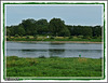 LA LOIRE