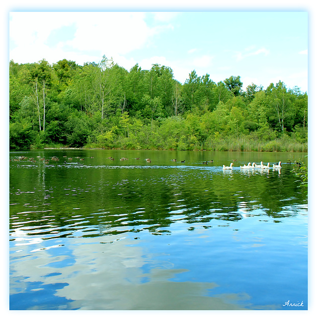 LA MARE AUX OIES........