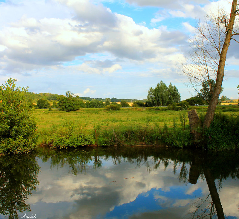 CAMPAGNE NORMANDE ****
