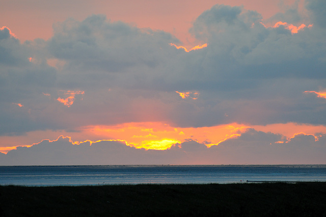 Nordsee Watt - 120808