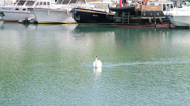 L'Epervière, port de Valence