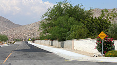 Sonora Sidewalk (6692)