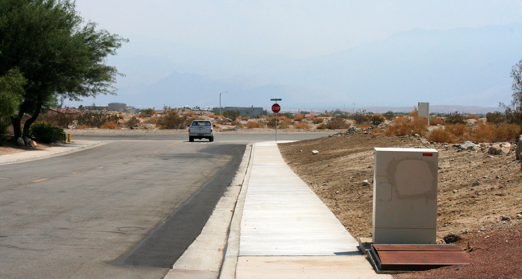 Sonora Sidewalk (6693)