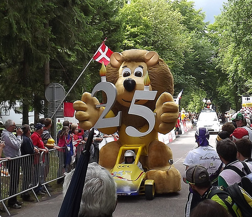 lion 25