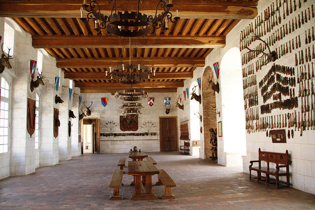 Château de Saint-Fargeau (89)