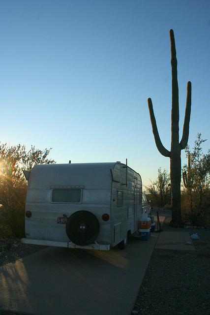 Organ Pipe National Monument, Arizona