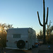 Organ Pipe National Monument, Arizona