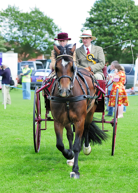 Carriage Driving (c)