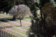 Fort Rosecrans National Cemetery (6359)