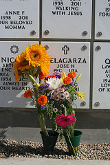 Fort Rosecrans National Cemetery (6380)