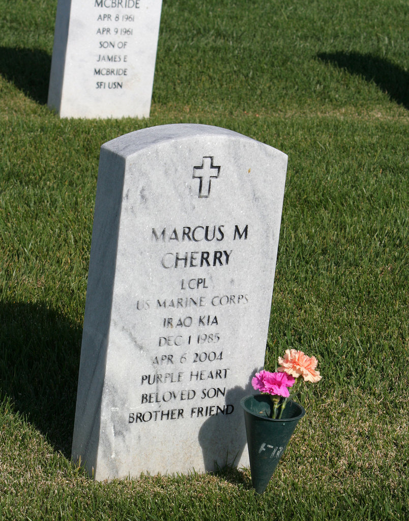 Fort Rosecrans National Cemetery (6384)