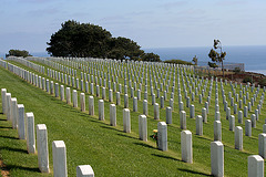 Fort Rosecrans National Cemetery (6389)