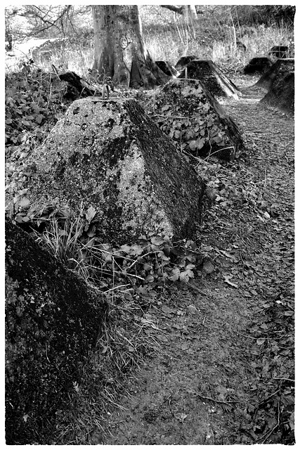 Waverley Abbey Dragon's Teeth Tank Trap X-M1 3