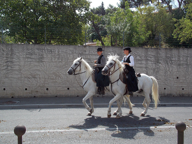 Deux cavalieres!