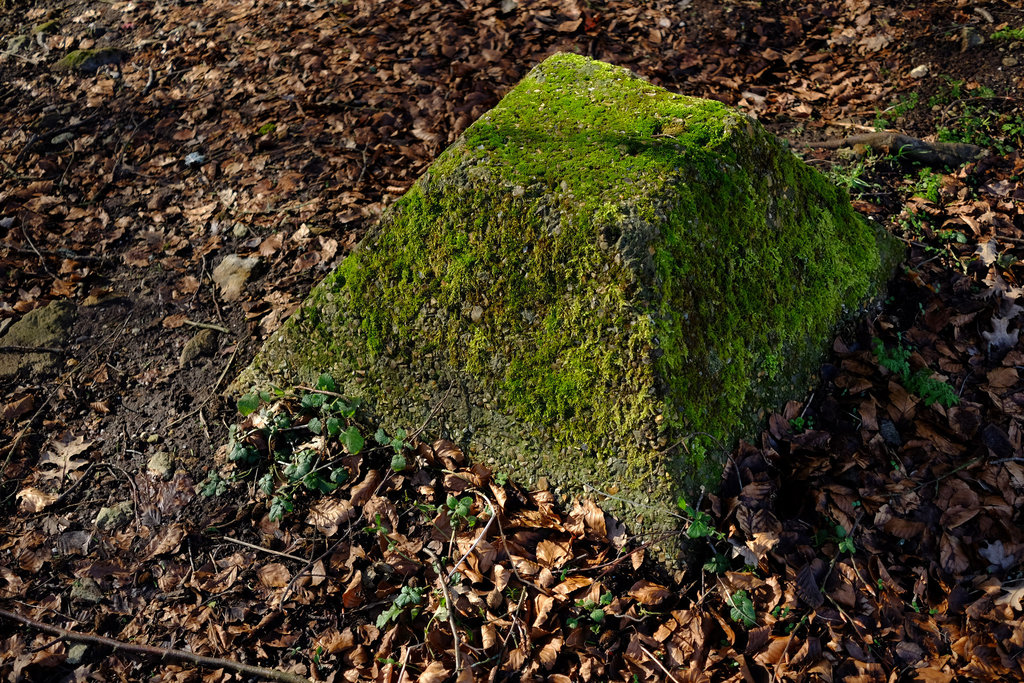 Waverley Abbey Dragon's Teeth Tank Trap X-M1 1