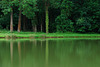 Vallée de la Juine