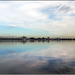 Calm waters on Cardiff Bay