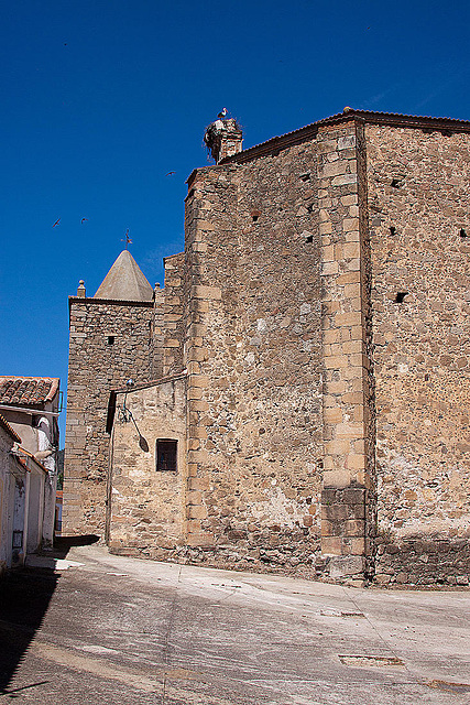 20120512 9634RAw [E] Weißstorch (Ciconia cicoia), Kirche, Herguijuela, Extremadura