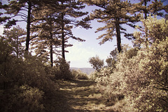 Mont Ventoux